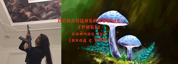 метадон Богородицк